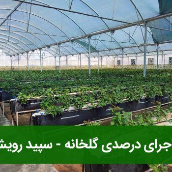اجرای درصدی گلخانه